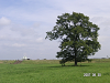 s_PICT0558_thumb.png